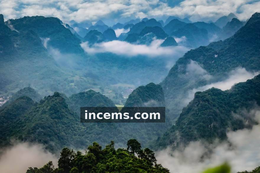 快盈VIII发布移动端体验报告，收藏与提醒功能使用率提升